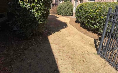 Photo of Danielle C.'s yard after getting lawn care in Kingsburg, CA