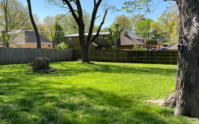 Photo of Bill L.'s yard after getting lawn care in Raytown, MO
