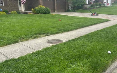 Photo of Teresa P.'s yard after getting lawn care in Midland, PA