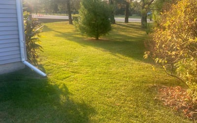 Photo of Elliott R.'s yard after getting lawn care in Linden, MI