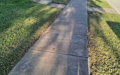 Photo of David E.'s yard after getting lawn care in Woodinville, WA