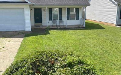 Photo of Walid D.'s yard after getting lawn care in Broomfield, CO