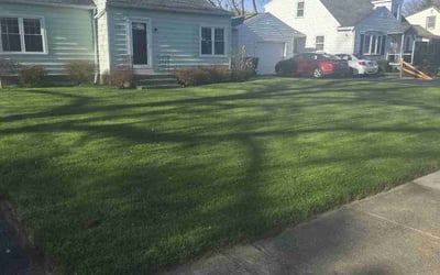 Photo of Lynn T.'s yard after getting lawn care in Rochester, NY