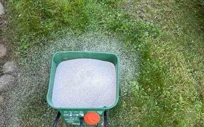 Photo of Justin M.'s yard after getting lawn care in Austin, TX