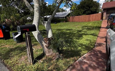 Photo of Edison W.'s yard after getting lawn care in Patchogue, NY