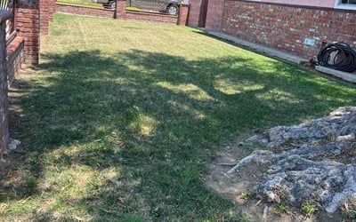Photo of Jesse H.'s yard after getting lawn care in Gardena, CA