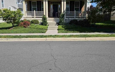 Photo of James D.'s yard after getting lawn care in Ashburn, VA