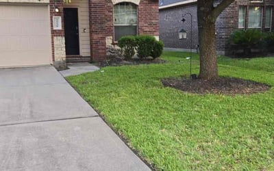 Photo of Richard D.'s yard after getting lawn care in Cloverleaf, TX