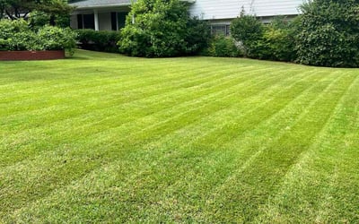 Photo of Adraine K.'s yard after getting lawn care in Leesburg, FL