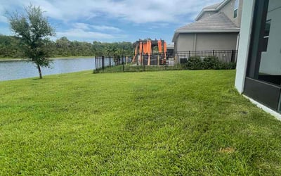 Photo of Erika K.'s yard after getting lawn care in North Palm Beach, FL