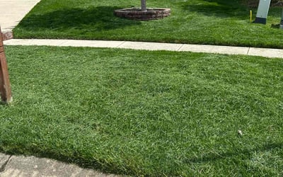Photo of Martin H.'s yard after getting lawn care in Stow, OH