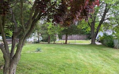 Photo of Juan A.'s yard after getting lawn care in Kingston, PA