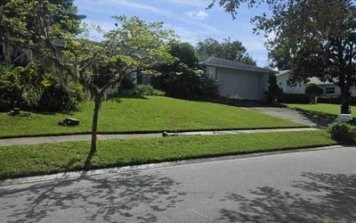 Photo of Danielle N.'s yard after getting lawn care in Altamonte Springs, FL