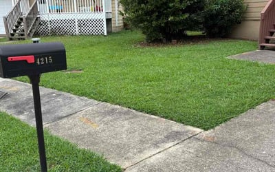 Photo of Jenny D.'s yard after getting lawn care in Los Angeles, CA