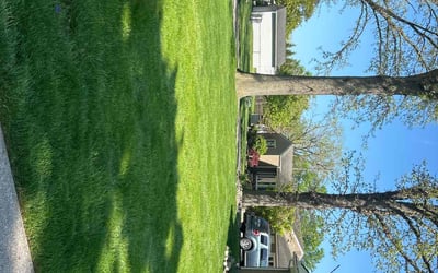 Photo of Diane L.'s yard after getting lawn care in White Lake, MI