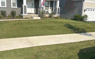Photo of Denise B.'s yard after getting lawn care in Saint Charles, IL