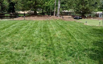 Photo of Barbara P.'s yard after getting lawn care in Chelmsford, MA