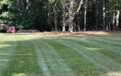 Photo of Ruby P.'s yard after getting lawn care in Amesbury, MA