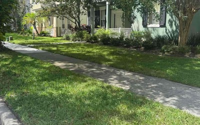 Photo of Mark W.'s yard after getting lawn care in Sonoma, CA