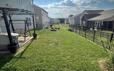 Photo of Nicole S.'s yard after getting lawn care in Knoxville, TN