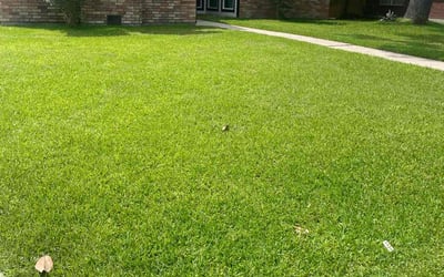 Photo of Elaine S.'s yard after getting lawn care in Baldwin Park, CA