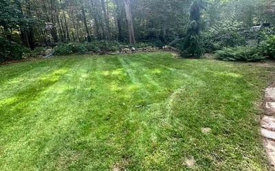 Photo of Rose M.'s yard after getting lawn care in Willimantic, CT