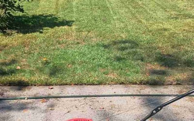 Photo of Angela S.'s yard after getting lawn care in Concord, NH