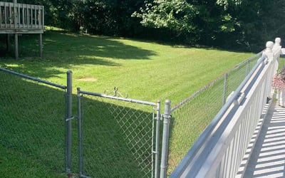 Photo of Kate L.'s yard after getting lawn care in Winnsboro, SC