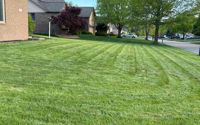 Photo of Joanne M.'s yard after getting lawn care in Harrison Township, MI