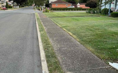 Photo of Sue K.'s yard after getting lawn care in Williamsport, PA