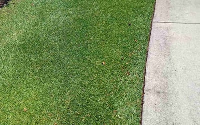 Photo of Laura C.'s yard after getting lawn care in Clinton, TN