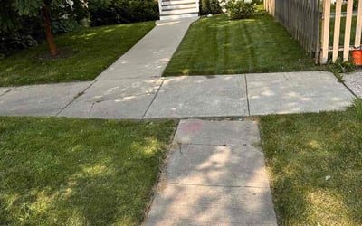Photo of Rudy L.'s yard after getting lawn care in Evanston, IL