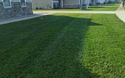 Photo of Christopher T.'s yard after getting lawn care in Ellington, CT