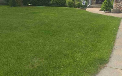 Photo of Scott B.'s yard after getting lawn care in West Mifflin, PA