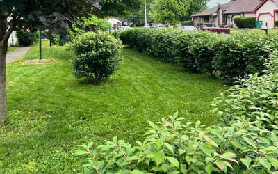 Photo of Joyce B.'s yard after getting lawn care in Newburgh, IN