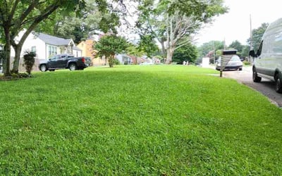Photo of Alaric C.'s yard after getting lawn care in Decatur, GA