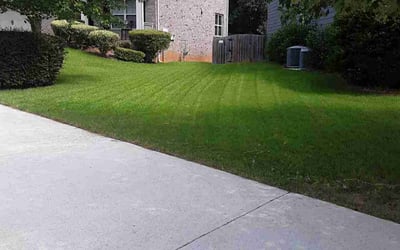 Photo of Jeremy J.'s yard after getting lawn care in Tucker, GA