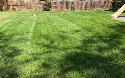 Photo of Jared T.'s yard after getting lawn care in Vienna, VA