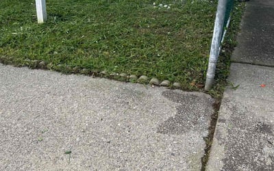 Photo of Douglas B.'s yard after getting lawn care in East Elmhurst, NY