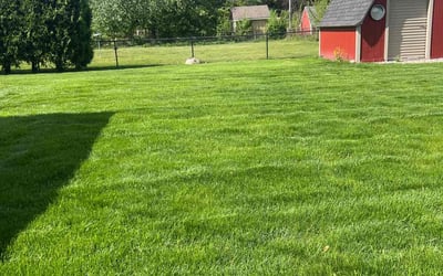 Photo of Sandra S.'s yard after getting lawn care in Galveston, TX