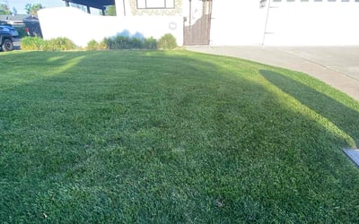 Photo of Tiffany M.'s yard after getting lawn care in Shingle Springs, CA