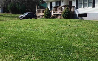 Photo of Freddie J.'s yard after getting lawn care in Clemmons, NC