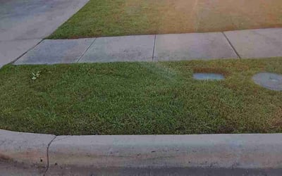Photo of Dorothy W.'s yard after getting lawn care in Midland, PA