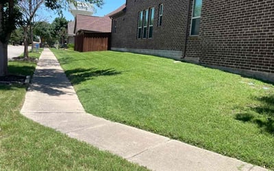 Photo of Lynette M.'s yard after getting lawn care in Corinth, TX