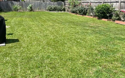 Photo of Deborah M.'s yard after getting lawn care in Irmo, SC
