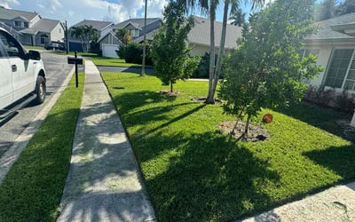Photo of Jimmy H.'s yard after getting lawn care in Moncks Corner, SC