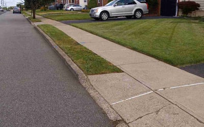 Photo of Carmen G.'s yard after getting lawn care in Palisades Park, NJ