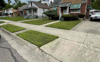 Photo of Calley C.'s yard after getting lawn care in Nixa, MO
