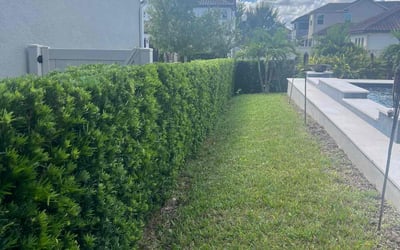 Photo of Vicki R.'s yard after getting lawn care in Rohnert Park, CA