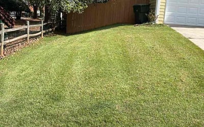 Photo of Michael R.'s yard after getting lawn care in Kingston Springs, TN